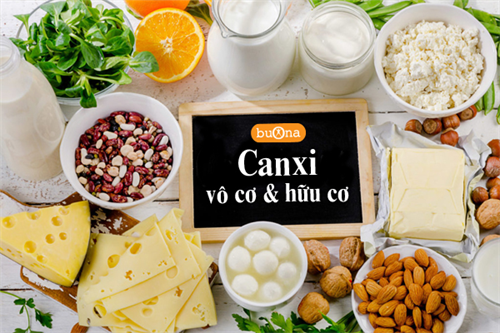 Cùng mình tìm hiểu Sự khác nhau giữa canxi hữu cơ và canxi vô cơ